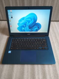 Acer