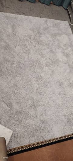 spotless antislip carpet