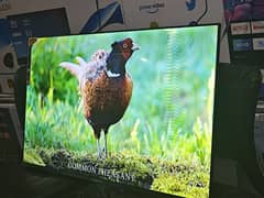 65: inch Samsung smart led tv 3 year warranty 03228083060