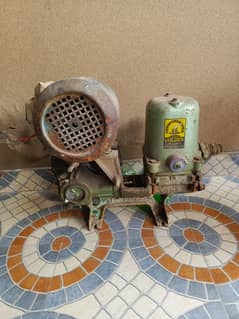 Donkey Motor