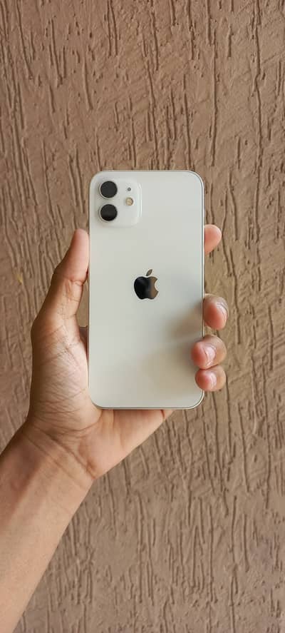 IPHONE 12 (JV/NON PTA)