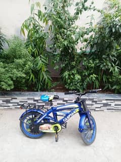 Caspian bicycle