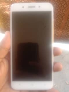 Vivo Y66