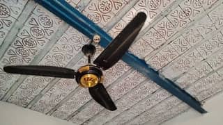 Brand New fan with low price.