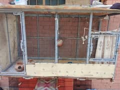 hens and birds cage