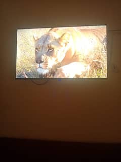 Mjburi Hai iSlia Sale KRa hu new led hai