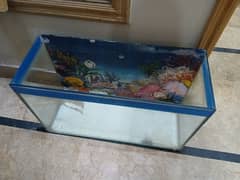Fish Aquarim 2.5 fit