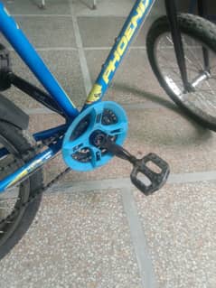 phoenix bicycle