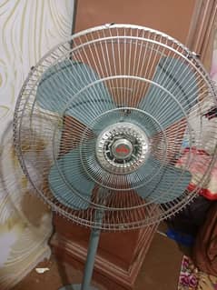 pedestel fan