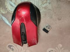 Mouse