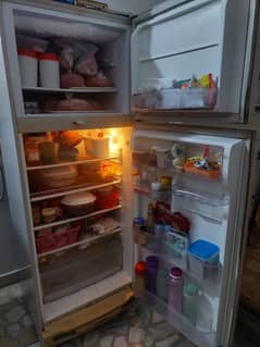 refrigerator