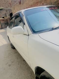 03139248484