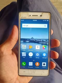 vivo