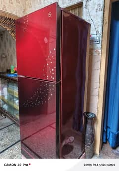Pel Glass door Fridge for sale