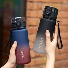 1L