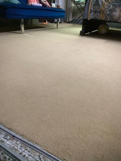 Carpet in good condition