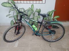 Sportive
