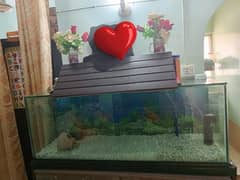 Aquarium