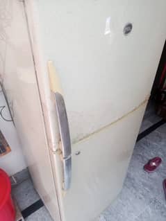 pel refrigerator