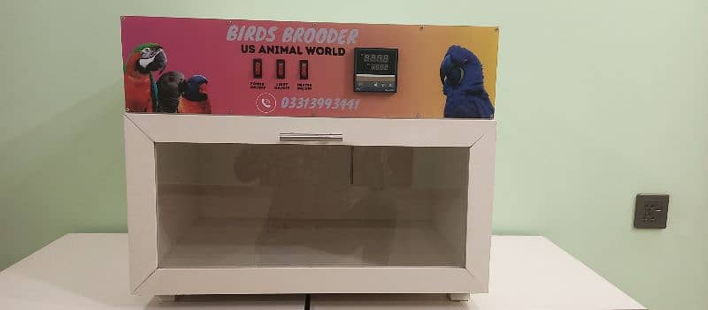 Birds Brooder Designed for Parrot Only 2