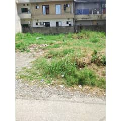Plot