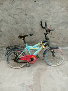 phoenix cycle