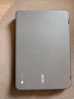 Acer