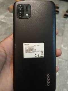 03024664921