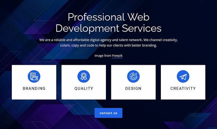 Website Development Services 0