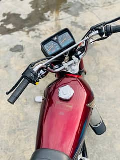 honda 125 2024
