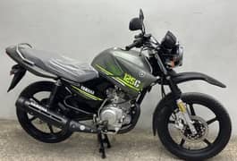 Yamaha Ybr G 125cc 2023
