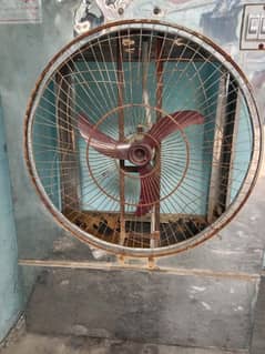 cooler
