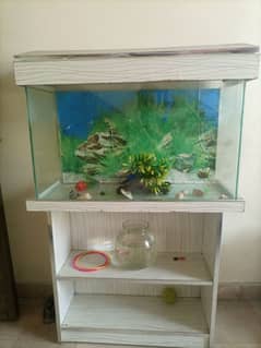 Fish Aquarium