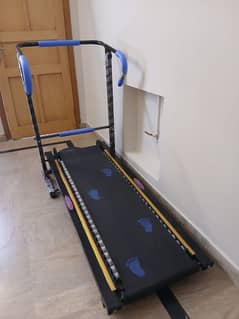 Manual treadmill and twister exercise