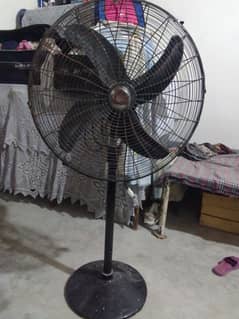 Pedestal Fan For Sale