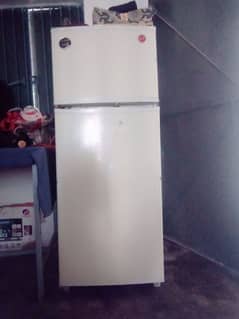 Philips Refrigerator  medium size
