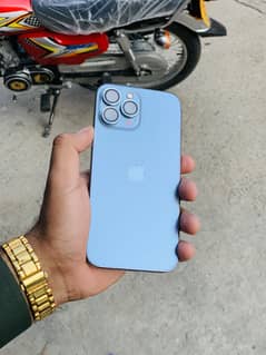 13 pro max