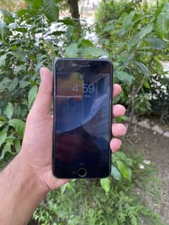 iphone 7plus (pta approved)