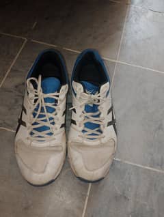 Asics spikes