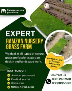 Natural Grass| Grass Korean Grass | Fine Grass | Fresh grass