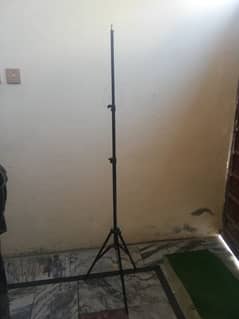 Studio