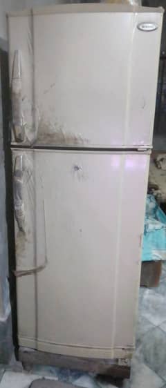 Waves Company 03346067436