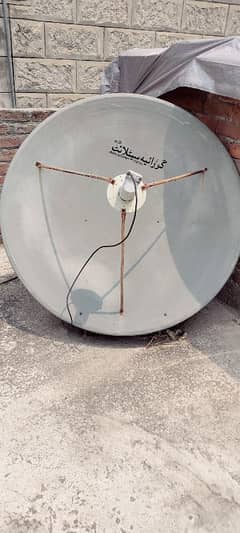 Dish LLG