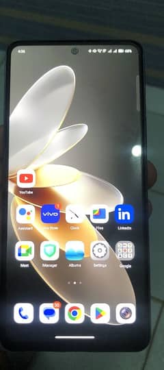 vivo
