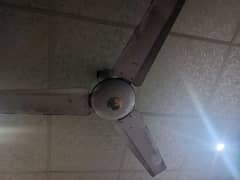 super Asia coper ceiling fan 10 each 5500