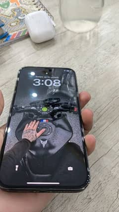 12 pro max
