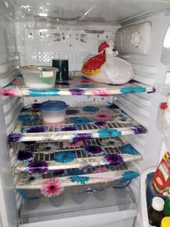 PEL refrigerator 03234790483
