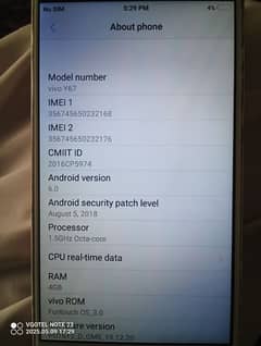 normal condition vivo 4/32
