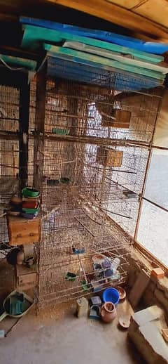 8 potion cage