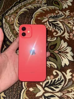 Iphone 12 Jv